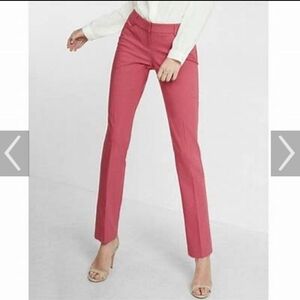 Express 10 Long Columinist Pants